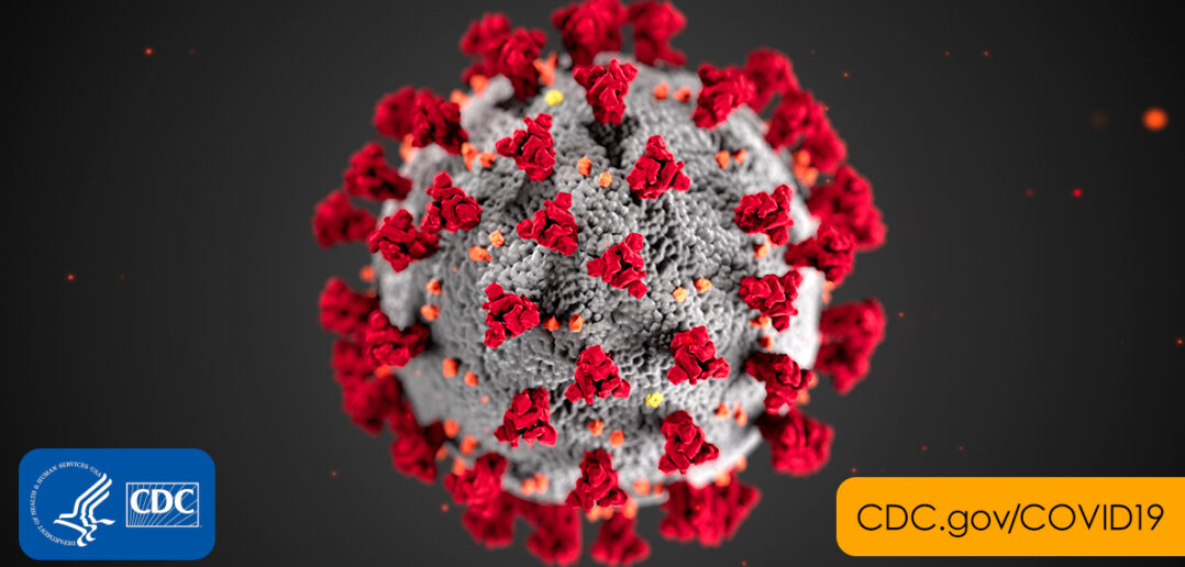 coronavirus