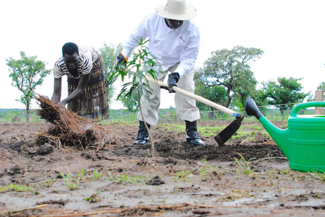 Museveni-digging